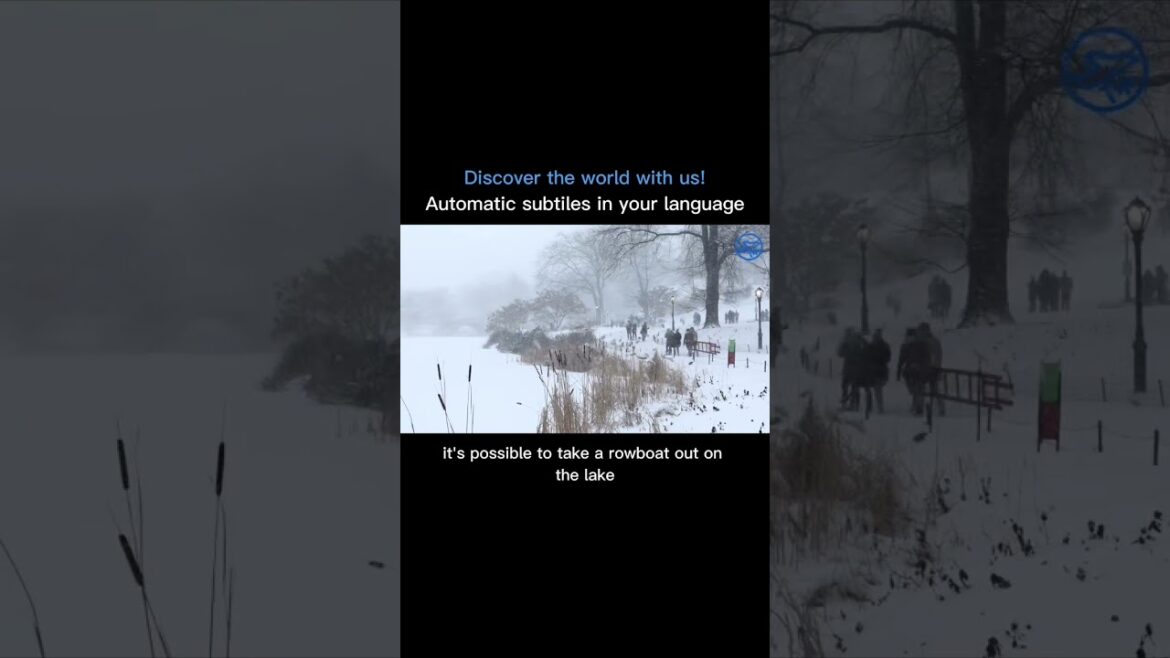 Things to do in NYC - Central Park - #centralpark #centralpark #newyorkcity #newyorktravel #nycvlog