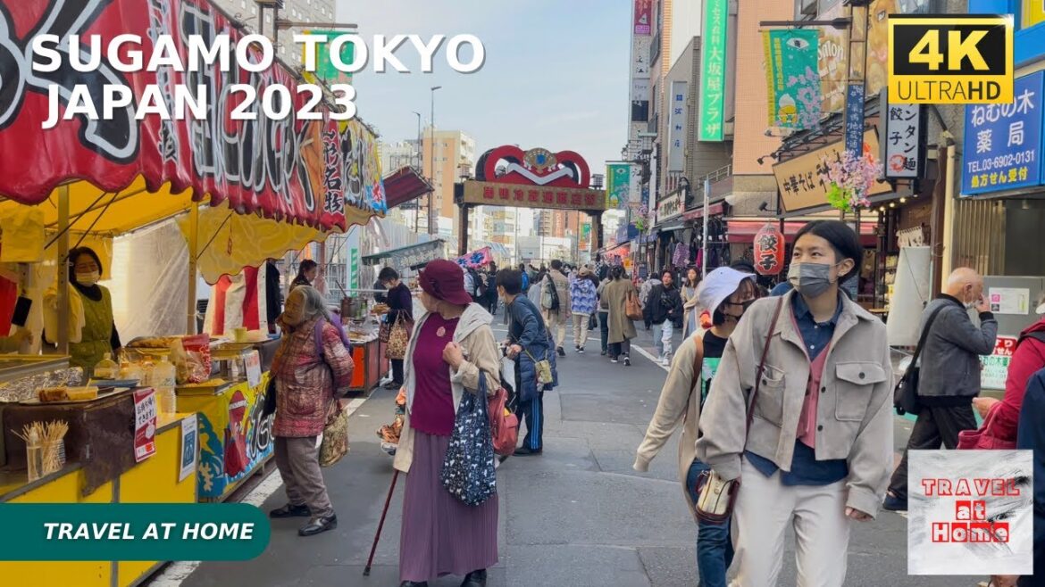 4k hdr japan travel | Walk in Sugamo Tokyo the Harajuku of elderly | Relaxing Natural City ambience 4k hdr japan travel | Walk in Sugamo Tokyo the Harajuku of elderly | Relaxing Natural City ambience