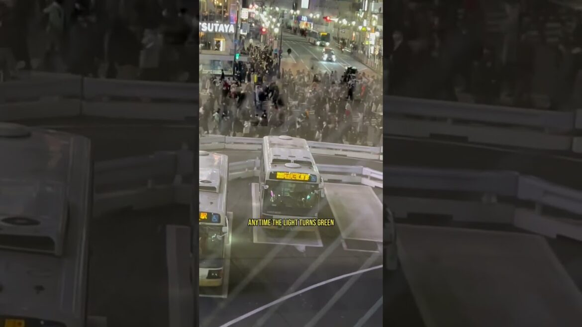 Let’s explore #Tokyo! #hotelreviews #travel #visitjapan #traveltips #solotravel #luxurylifestyle