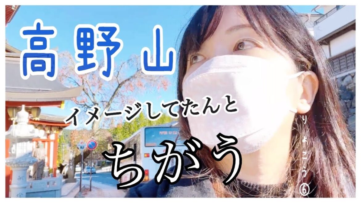 関西りょこう⑥vlog /ENGSUB 初めての和歌山県！高野山のイメージが180度変わるちょっと面白い所だった日⛰