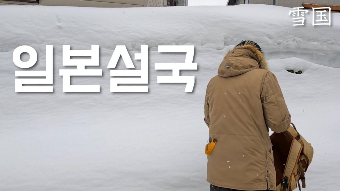 일본 겨울여행 특집 | 홋카이도 그 이상, 일본 제일의 설국여행, 니가타현 | 노벨문학상의 배경 | 허영만 선생님이 여기 왜? | 걸어봐 세계속으로 | 일본에 진출한 눈오리 🐤✨ 일본 겨울여행 특집 | 홋카이도 그 이상, 일본 제일의 설국여행, 니가타현 | 노벨문학상의 배경 | 허영만 선생님이 여기 왜? | 걸어봐 세계속으로 | 일본에 진출한 눈오리 🐤✨