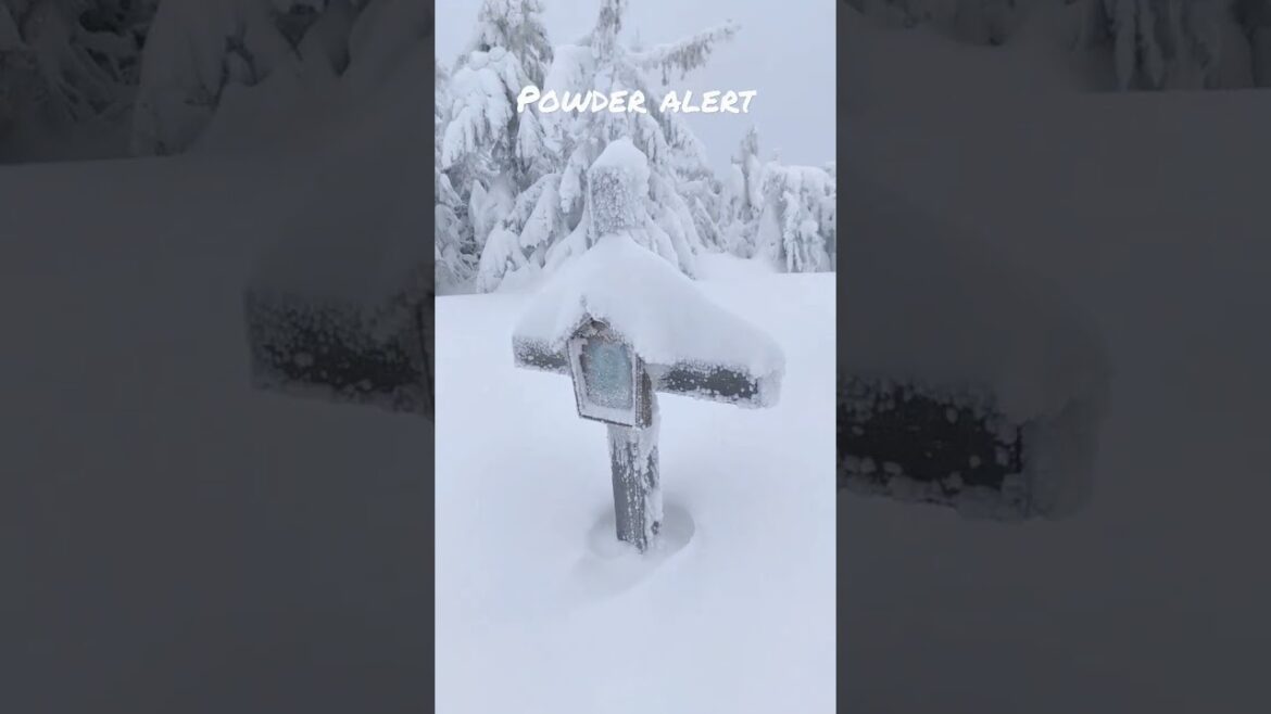 Powder alert in Poland #japan #hokaido #snow #ski #nature #mountains #skitouring