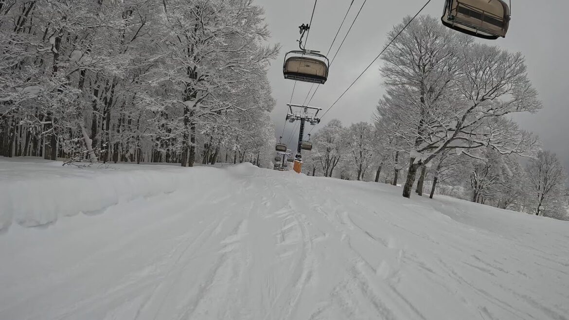 Day2 of Japan travel