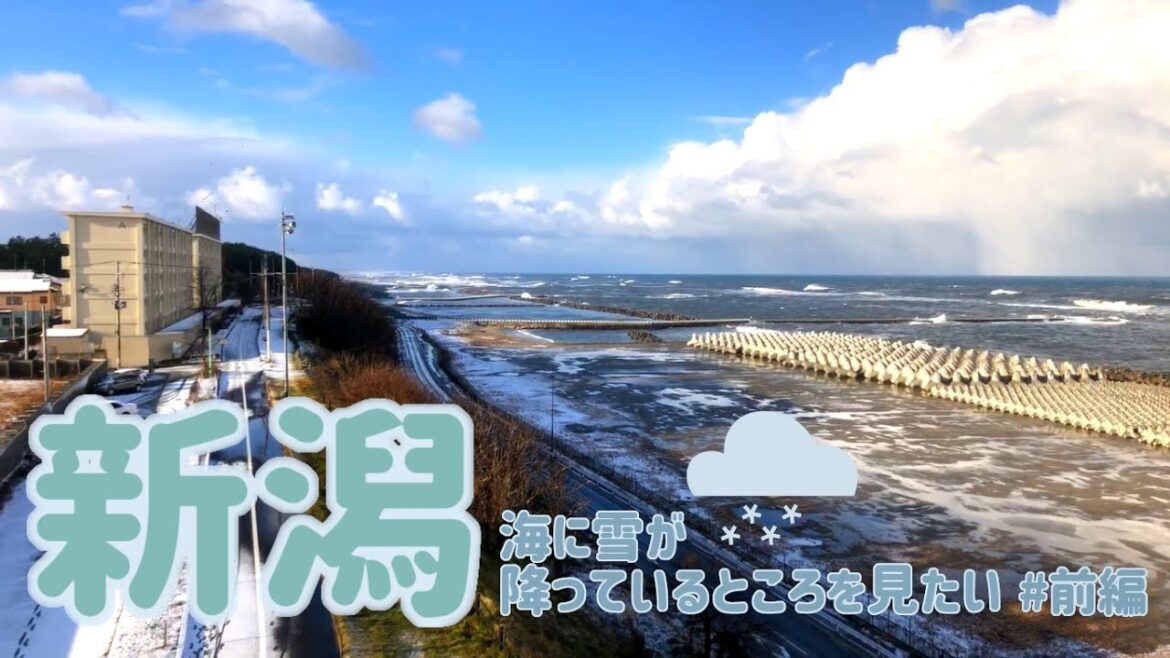 【新潟 観光】夜行バスで、冬の海に雪が降るところを見に行きたいVtuber  前編【旅行 Vlog】