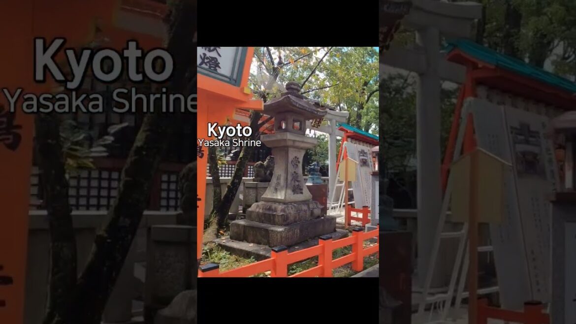 一緒に京都散歩をしませんか