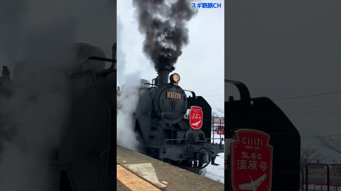 出発前C11の息吹【SL冬の湿原号】釧路駅　2023年2月撮影