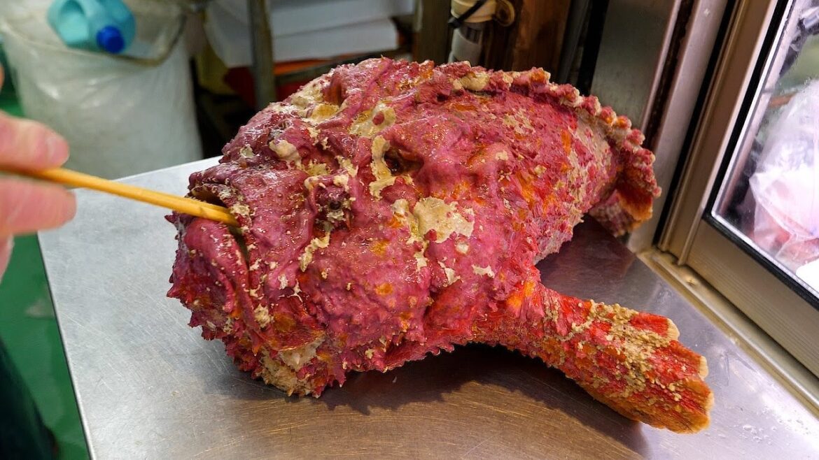 못생겨도 맛있어! 진짜,Super 못생김, 그리고 화려한 녀석까지, 일본 오키나와 생선회