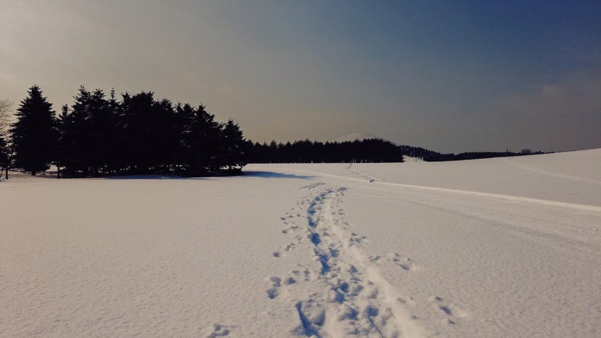 4K Walking in the Deep Snow Moerenuma Park Sapporo, Hokkaido JAPAN Snowscape Winter Ambience Sounds 4K Walking in the Deep Snow Moerenuma Park Sapporo, Hokkaido JAPAN Snowscape Winter Ambience Sounds
