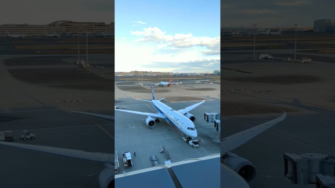 Observation Tower – The most beautiful Haneda Airport in the world #shorts Part 1 Observation Tower - The most beautiful Haneda Airport in the world #shorts Part 1