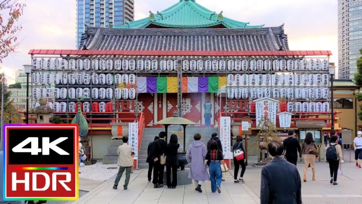 Shinobazu Pond in Ueno Park, Tokyo Japan Walking Tour 🦢
