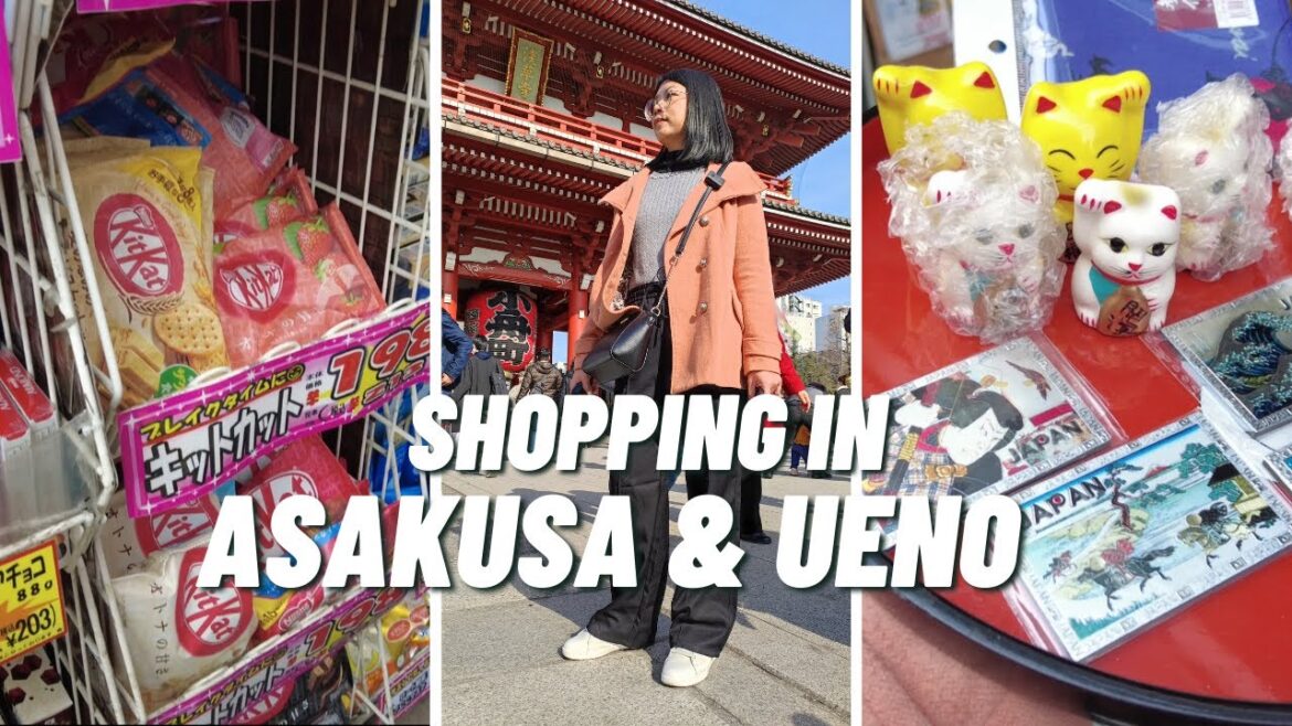 Last minute shopping in ASAKUSA and UENO! Japan Travel Vlog jamimoyvlogs