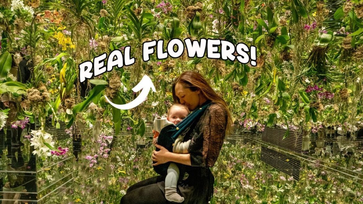 The Ultimate JAPAN Itinerary - 2 weeks/4 stops