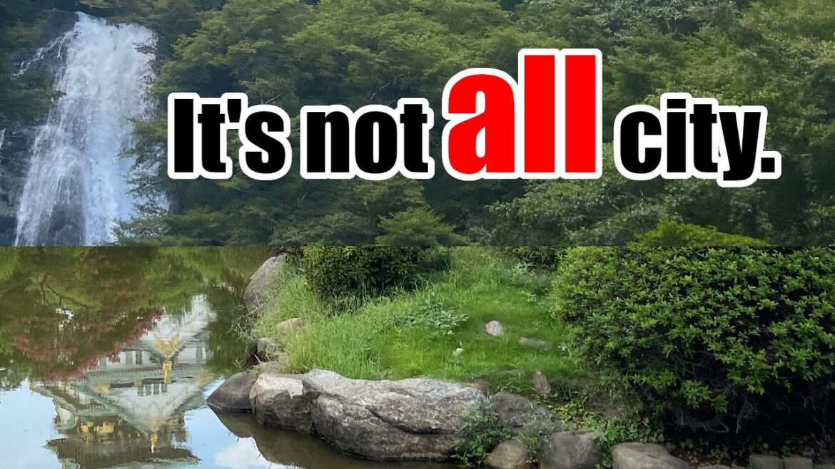 3 Weeks in Osaka: A Look at the Center of the South in Japan