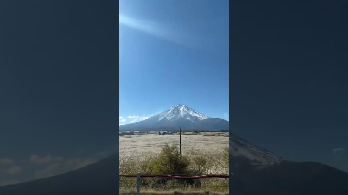Passing through this wonder. #shorts # #japan Passing through this wonder. #shorts # #japan