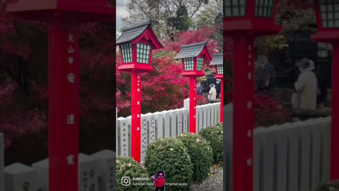 Japan National Treasures #shorts #shortfeed #castle #visitjapan #nagoya#osaka #kyototemple #kiyosu