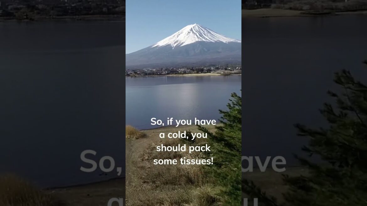 Travel Facts Japan. #travel #travelfacts #shorts #travel #travelgram