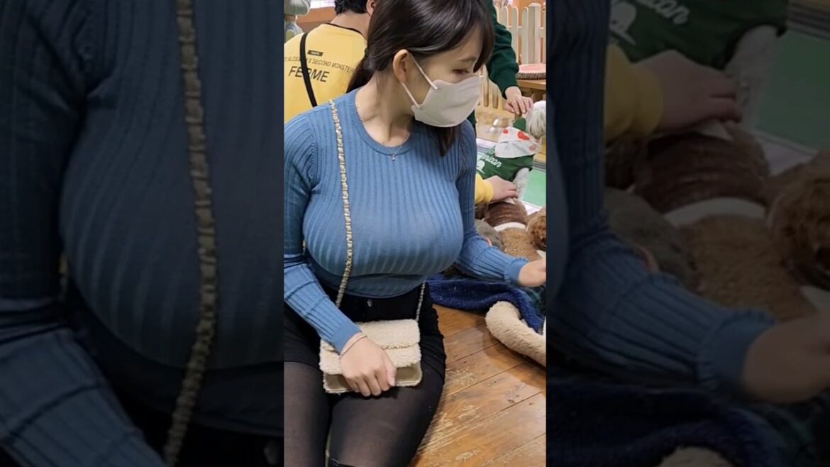 Petting Zoo 日本の動物園に行きました。#ショーツ #trip #japan #animals #動物