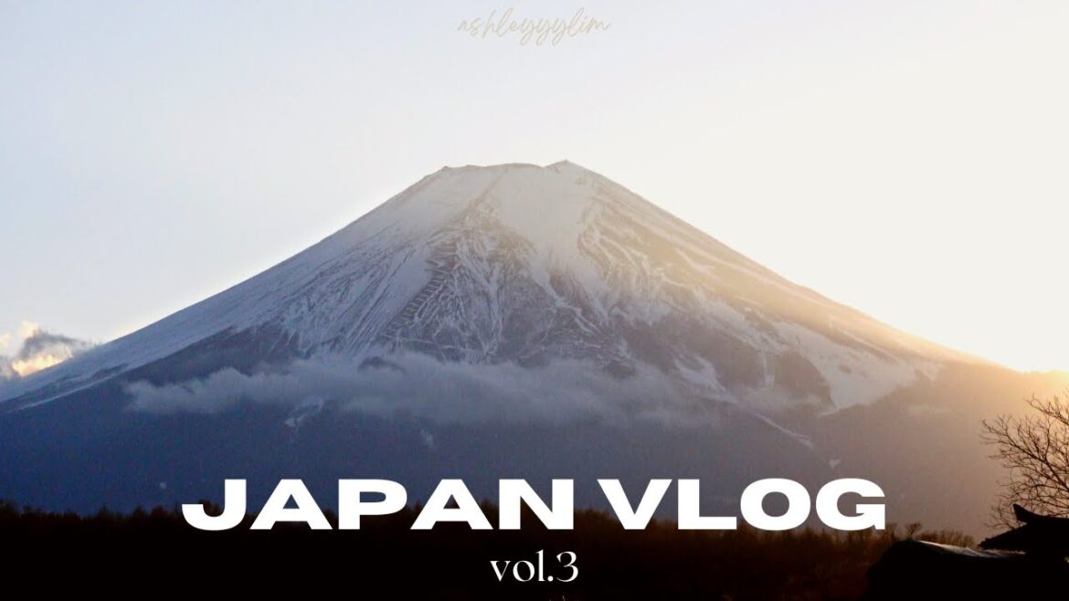 🇯🇵  Experience Tokyo’s best | From Disney dreams to Mount Fuji VLOG #tokyo #vlog #travelvlog