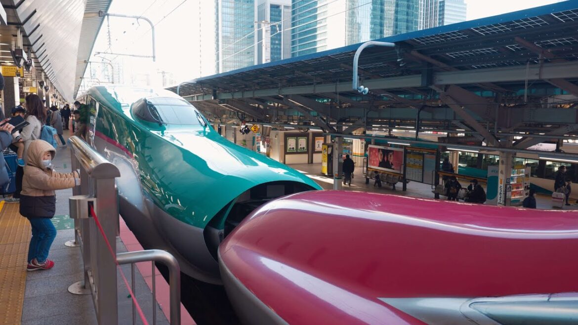 [JR EAST PASS] Winter trip by unlimited Shinkansen leaving Tokyo with Ekiben JAPAN RAIL PASS