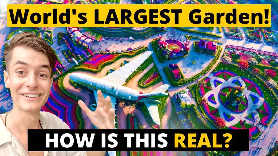 Dubai Miracle Garden Tour 2023 : What's it Like?