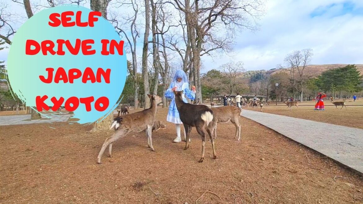SELF DRIVE IN JAPAN – KYOTO TOP PLACES TO VISIT SELF DRIVE IN JAPAN – KYOTO TOP PLACES TO VISIT