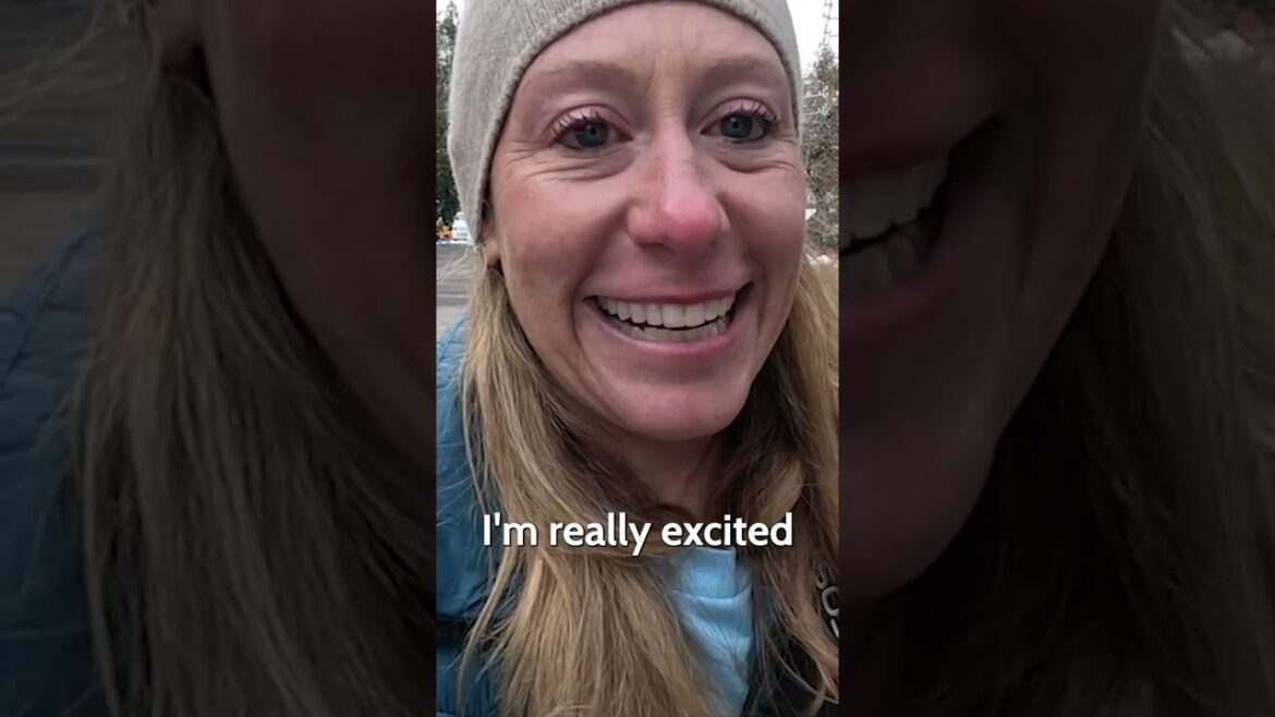 Japan Snow Monkeys In The Wild #shorts