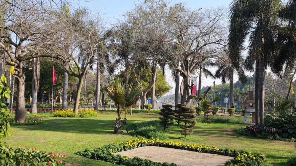 😍😍Gol chakkar (round about) ho toh aisa👌👌#delhi #india