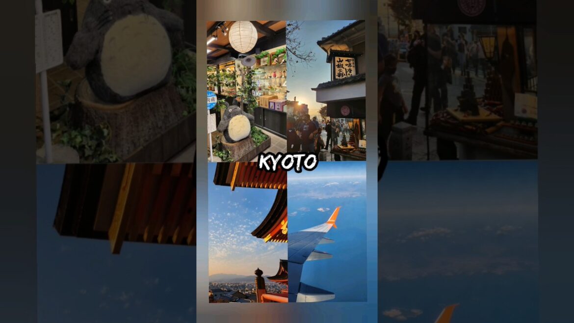 [오사카여행🇯🇵 #shorts 5] #교토여행 #교토 #청수사 #기요미즈데라 #니넨자카 #산넨자카