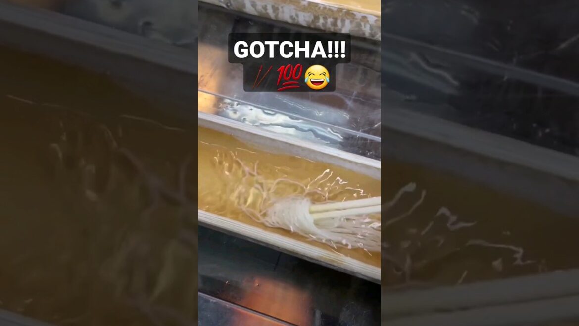 Fish for Noodles👹🇯🇵⛩️ #japan #japantravel #youtubeshorts #tokyo #youtube #shorts