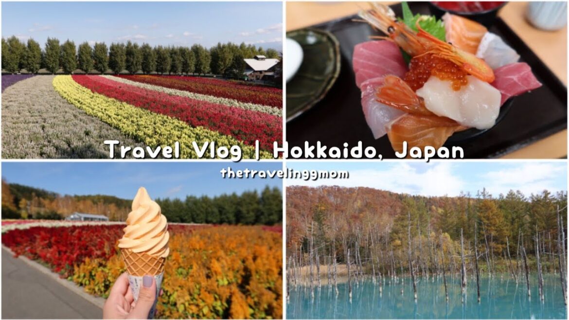 [VLOG] Hokkaido Series Part V | Autumn 2022 | Furano | Sapporo | Sight seeing, Omakase, Royce Choc