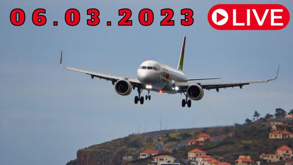 LIVE Action from Madeira Airport 06.03.2023