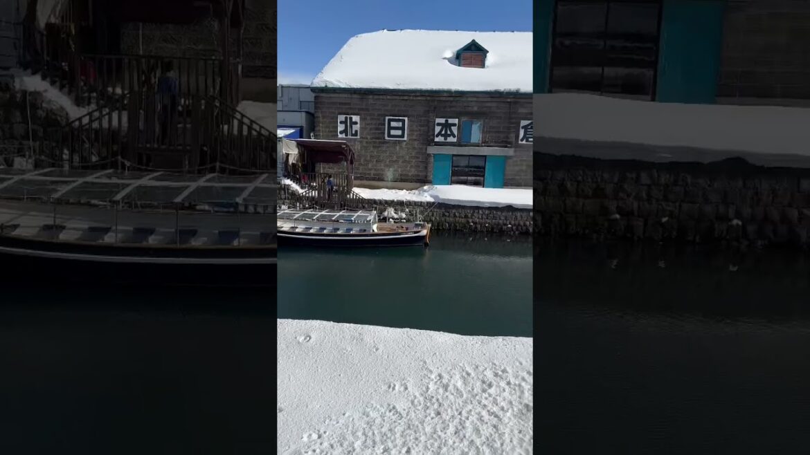 小樽運河クルーズ　#Otaru Canal Cruise #sapporo #hokkaido #shortvideo