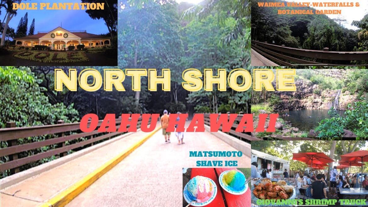 Day3 in HONOLULU HAWAII | What to do in NORTH SHORE OAHU? | Waimea Valley | Dole Plantation | Ep.69 Day3 in HONOLULU HAWAII | What to do in NORTH SHORE OAHU? | Waimea Valley | Dole Plantation | Ep.69