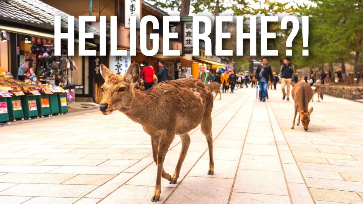 10 unglaubliche Orte Japans die Du sehen musst! Reisetipps Japan 10 unglaubliche Orte Japans die Du sehen musst! Reisetipps Japan