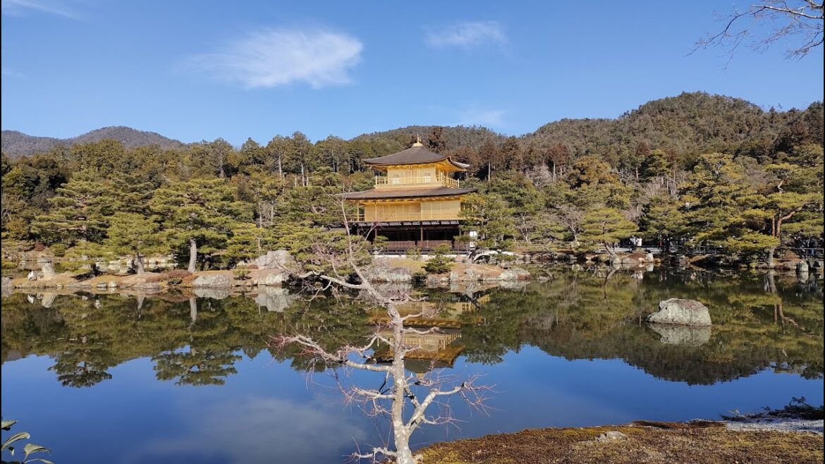 GOLDEN TEMPLE IN JAPAN&UNEXPECTED MODERNAL CITY[LAST DAY] #kyoto #nagoya #japan #kinkakuji #vlog