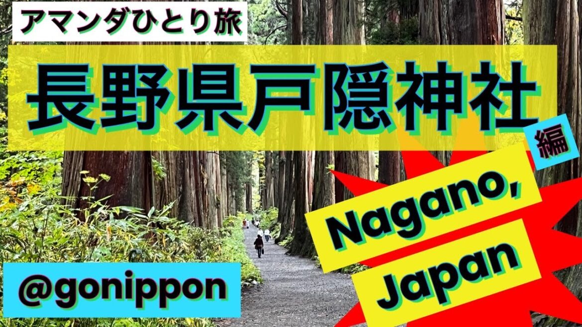 【長野観光】アマンダひとり旅　戸隠神社編　Amanda’s Time for Walkies in  Togakushi Shrine, Nagano, Japan