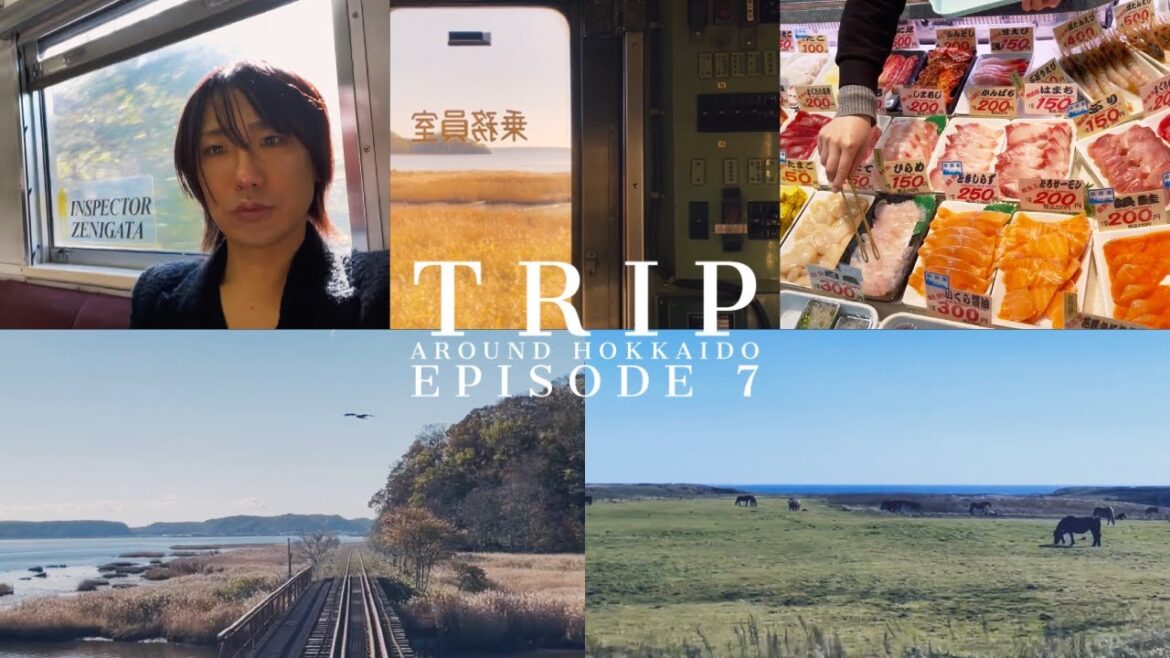 【TRIP VLOG】Train trip around Hokkaido 7 | JR北海道乗り放題の6日間周遊パスを使って北海道1周旅行 | 4日目:根室 別寒辺牛湿原 クジラ・ワシ・白鳥を見る
