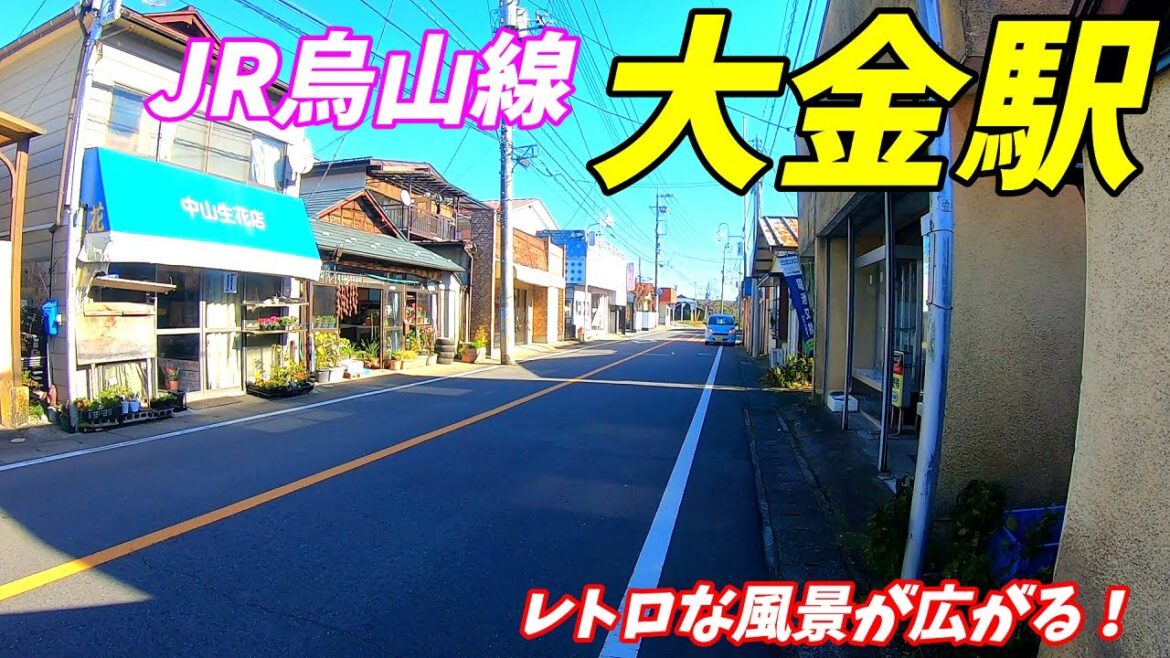 【栃木県那須烏山市】烏山線、大金駅周辺を散策！(Japan Walking around Ōgane Station)