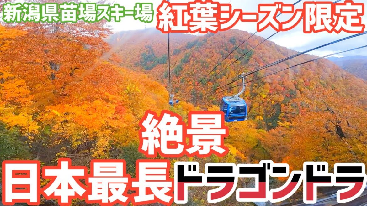 絶対知っておくべき新潟一の絶景 紅葉が見れる【ドラゴンドラ】日本最長のゴンドラに乗れる新潟県人気観光スポット 苗場スキー場 This is NIIGATA 絶対知っておくべき新潟一の絶景 紅葉が見れる【ドラゴンドラ】日本最長のゴンドラに乗れる新潟県人気観光スポット 苗場スキー場 This is NIIGATA