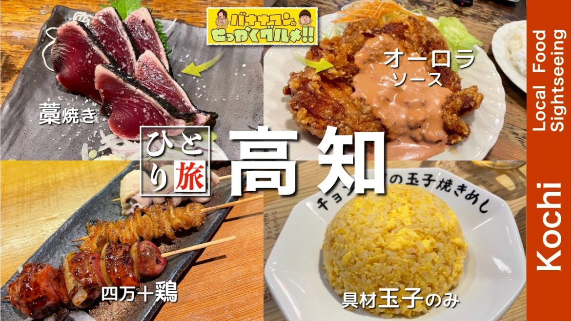 【高知グルメ｜アラフィフ男のひとり旅】高知でひとり飲み　鰹のたたき・玉子焼きめし・チキン南蛮・地元の名物グルメを食す動画【高知・坂本龍馬・高知城・ひとり旅・Okinawa・Trip】