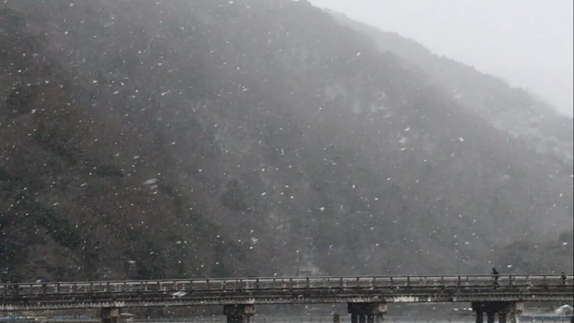 京都嵐山🐰2023年2月上旬まとめ❄️ Kyoto Arashiyama Early February 2023 summary