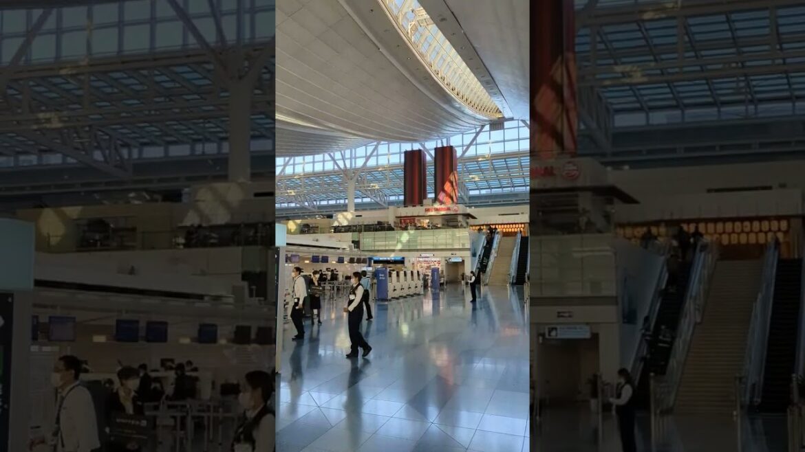 Check in counters – The most beautiful Haneda Airport in the world #shorts Part 2 Check in counters - The most beautiful Haneda Airport in the world #shorts Part 2