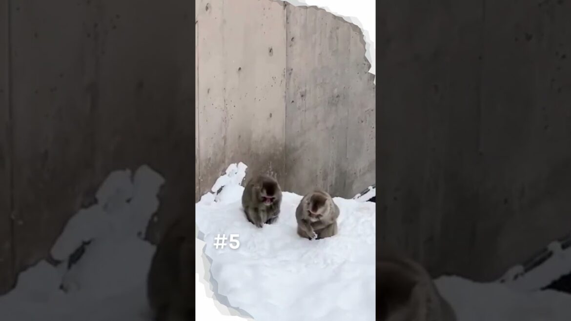 Top 10 Uncommon Tourist Spots in Hokkaido, Japan 2023! #shorts