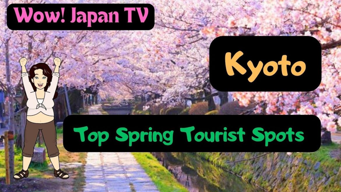 Hot Spring Travel in Kyoto, Japan: Top Spring Tourist Spots