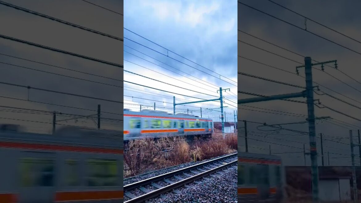 Japan  High speed Train /Nagoya train/ Kiyosu#speedy #speedytrain #traveling #travel #speedtrain