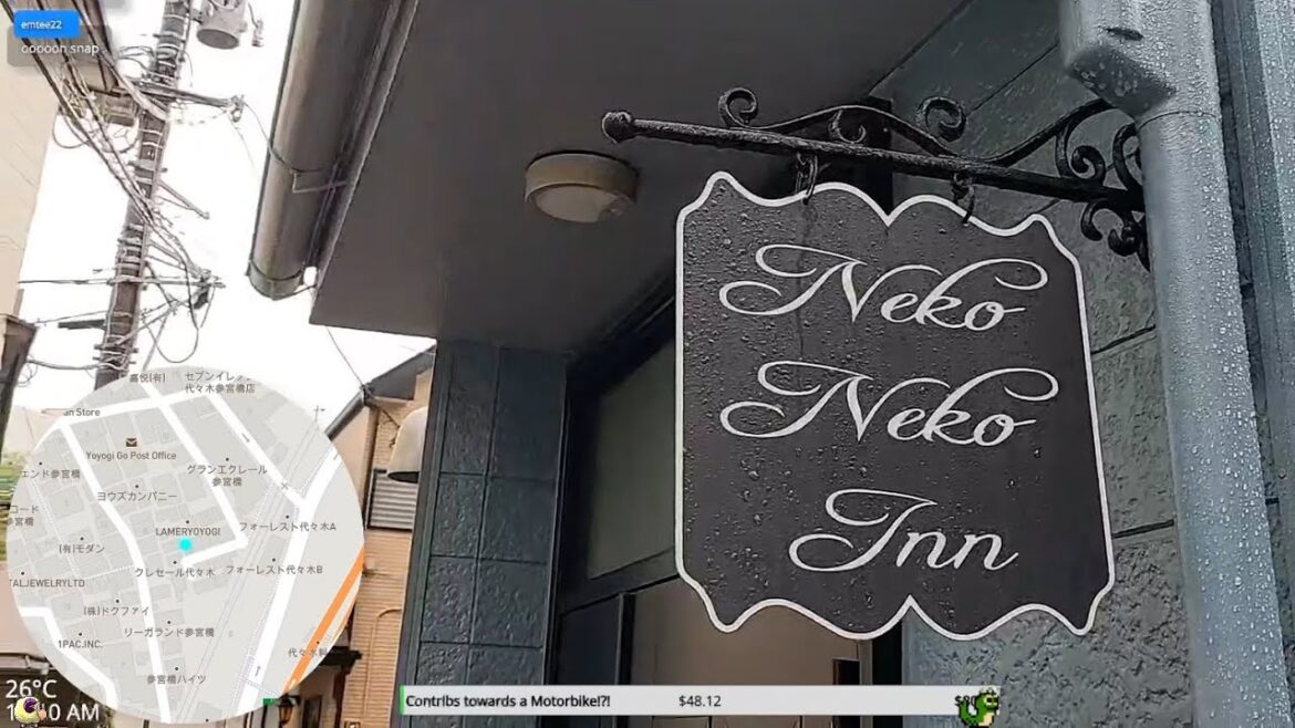 Tokyo Livestream Highlights | An impromptu tour of Sharla’s Airbnb: Neko Neko Inn (in a typhoon!) Tokyo Livestream Highlights | An impromptu tour of Sharla's Airbnb: Neko Neko Inn (in a typhoon!)