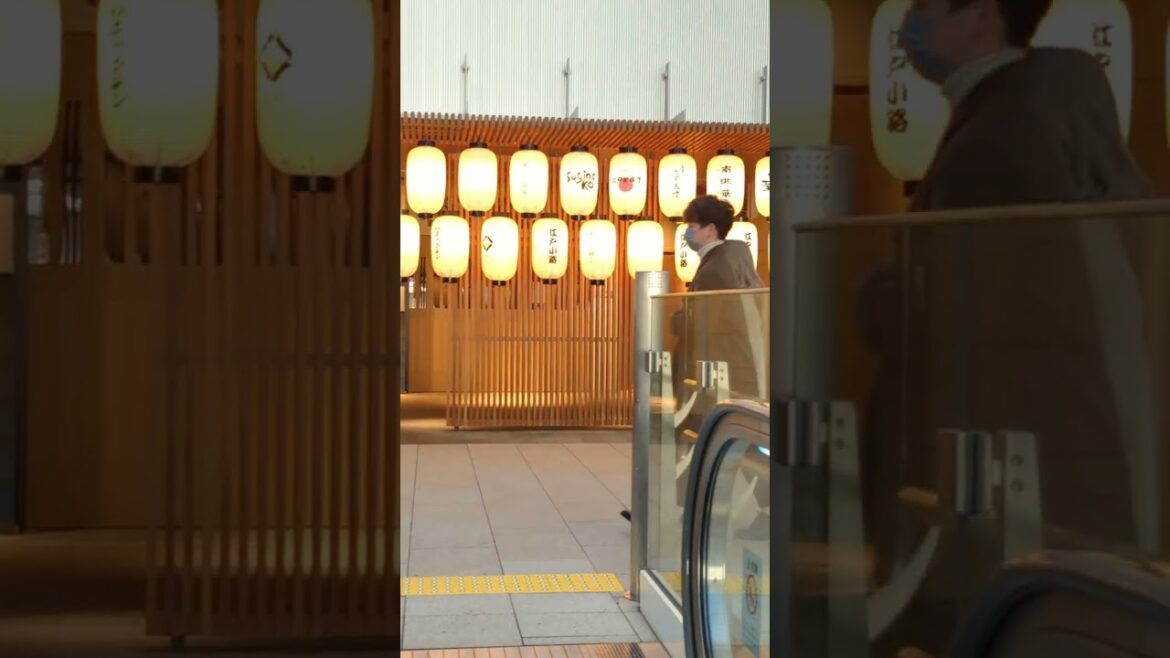 Escalator - The most beautiful Haneda Airport in the world #shorts Part 3