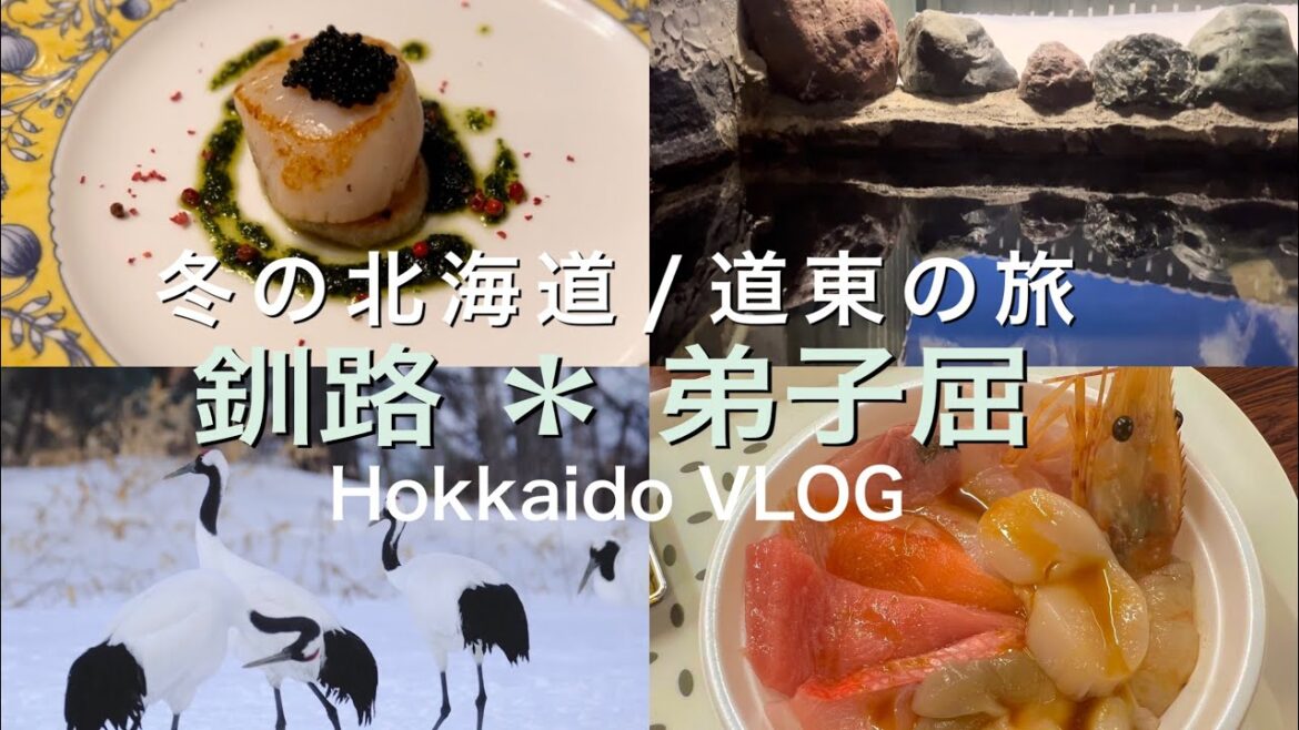【VLOG】北海道|釧路*弟子屈/冬の道東を巡る旅 前編❄️ 【VLOG】北海道|釧路*弟子屈/冬の道東を巡る旅 前編❄️