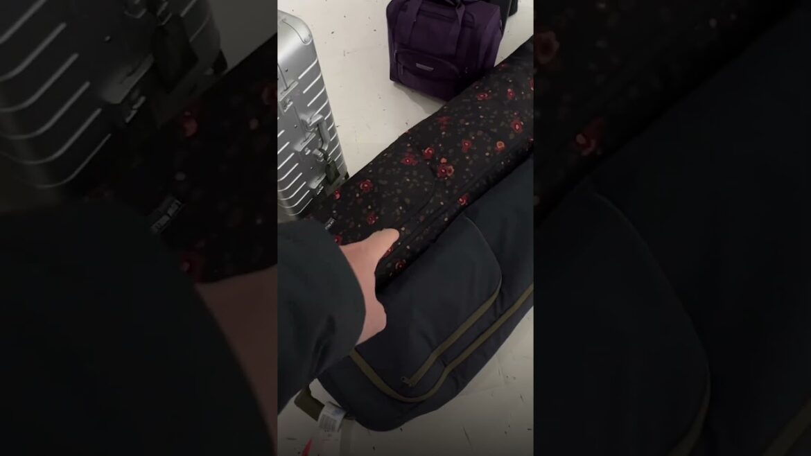 The Japan Travel Hack You MUST Know Before You Go!