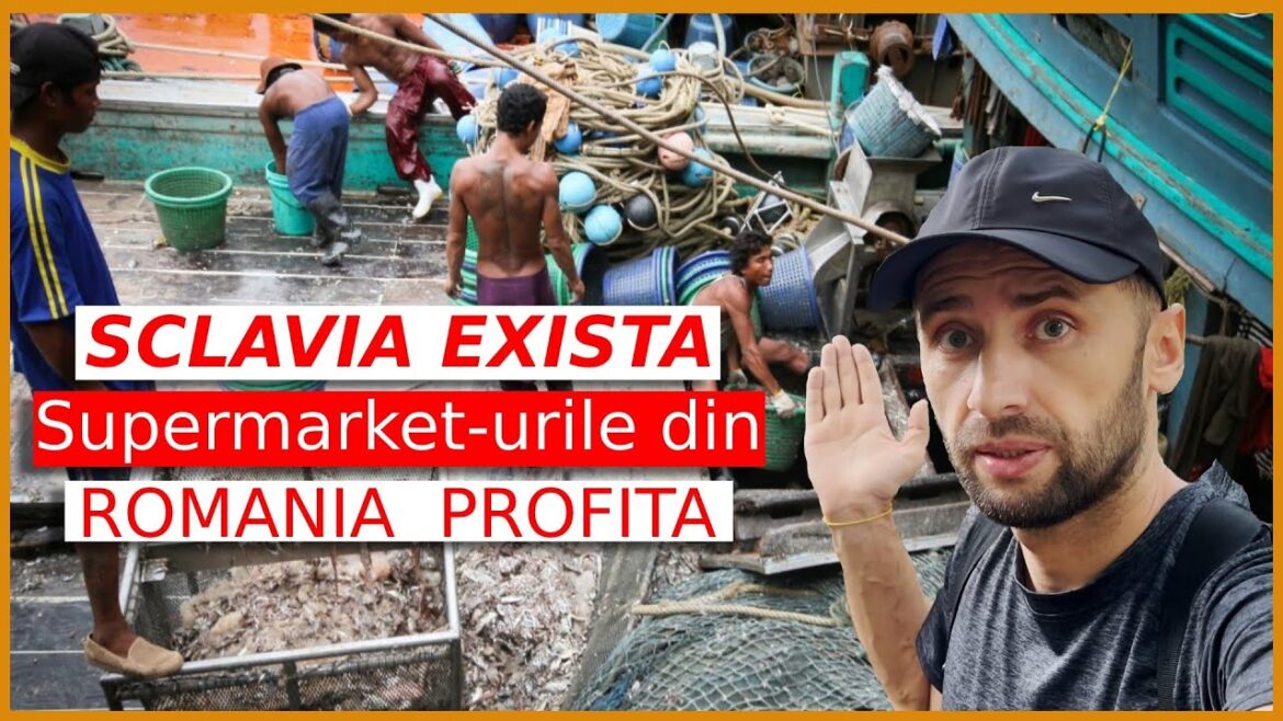 OAMENI vanduti ca SCLAVI in 2023 – Companii GIGANT se IMBOGATESC de pe urma lor! OAMENI vanduti ca SCLAVI in 2023 - Companii GIGANT se IMBOGATESC de pe urma lor!